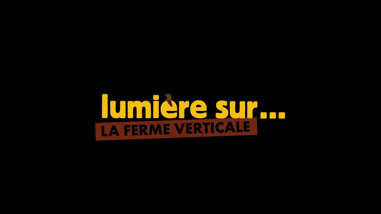 Et si les champs du futur étaient verticaux  ?