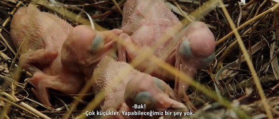 Fırtına Çocuk Altyazılı Fragman