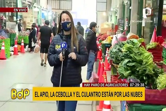 Precios de hortalizas se disparan en más de 400% en Lima