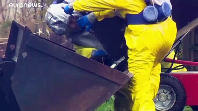 Werden alle 14 Mio. Nerze in Dänemark getötet? Kritik an der Regierung wächst