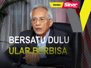 BERSATU DULU ULAR BERBISA