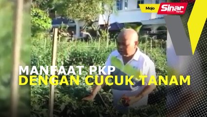 Ahmad Said saran masyarakat bercucuk tanam sepanjang tempoh PKP