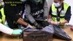 Roma - 52 chili di droga occultati nei bagagli 18 arresti in aeroporto (11.11.20)