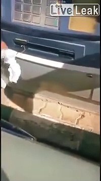 Une souris coincée dans un distributeur de billet... Petite voleuse