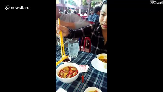 Seriez-vous prêt à manger ces vers de coco vivants