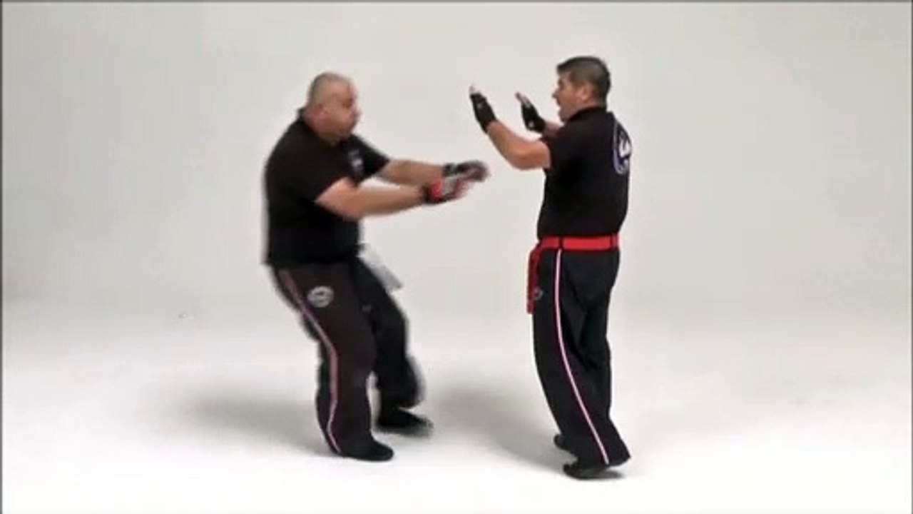 LIVE KRAV MAGA SPK MASTER LEVINET