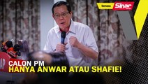 Calon PM, hanya Anwar atau Shafie!: Guan Eng