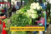 Precios de hortalizas se disparan en más de 400% en Lima