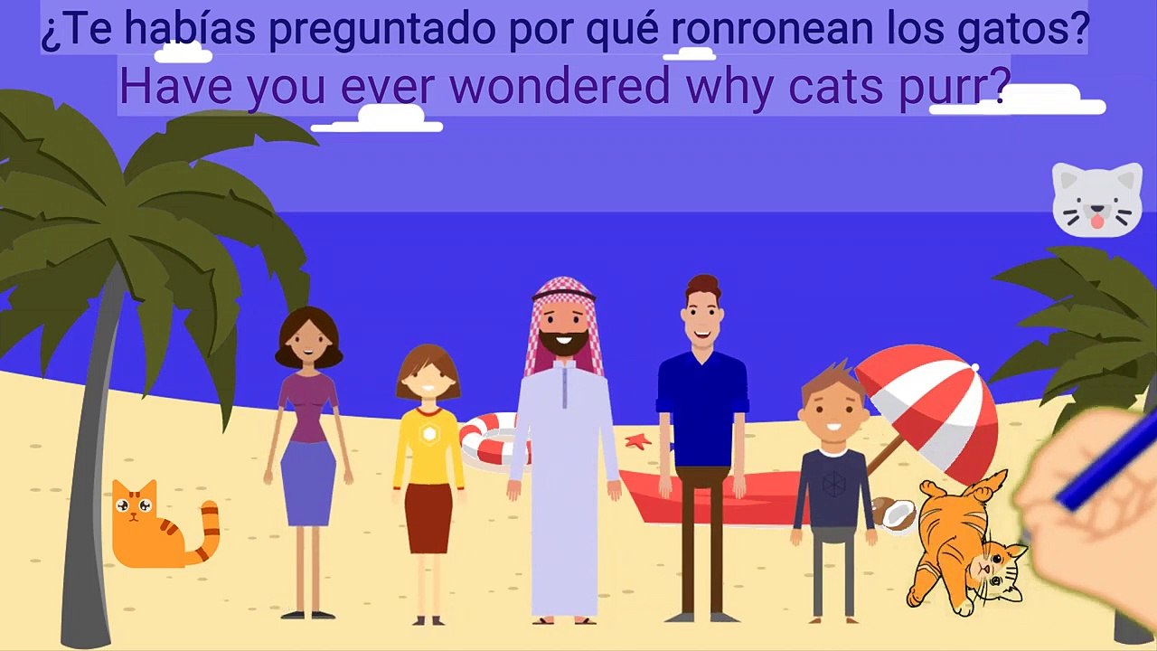 ¿Por qué ronronean los gatos?