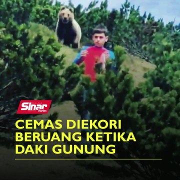 Cemas diekori beruang ketika daki gunung