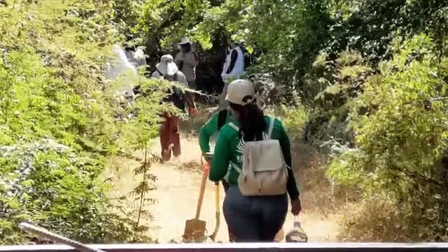 Encuentran osamenta humana en Culiacán