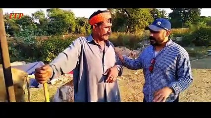 New FFP short film | Pakistan short film | latest short web series