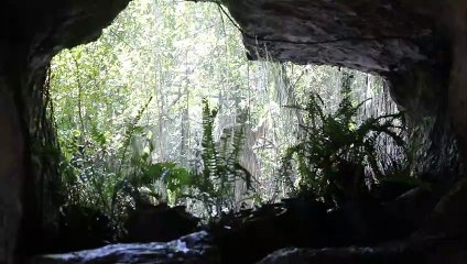 Caves