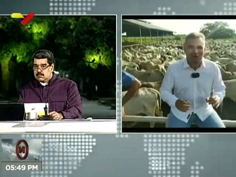 Finca Normandiaz en Portuguesa incrementará producción ganadera para el Plan Proteico Nacional