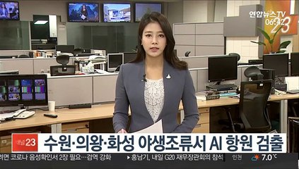 수원·의왕·화성 야생조류서 AI 항원 검출