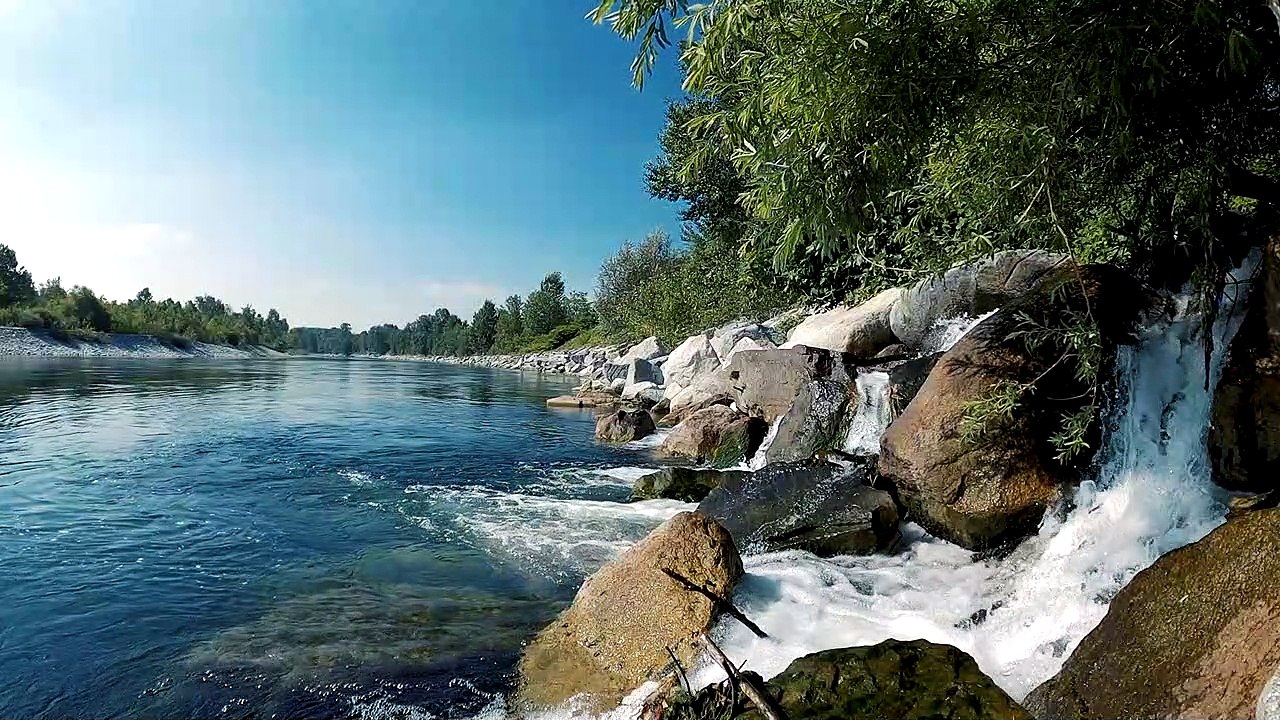 NATUREZA VIVA