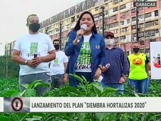 Agricultores y ganaderos del país incrementan producción de alimentos en beneficio del pueblo
