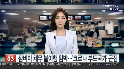 잠비아 채무 불이행 임박…'코로나 부도국가' 근접