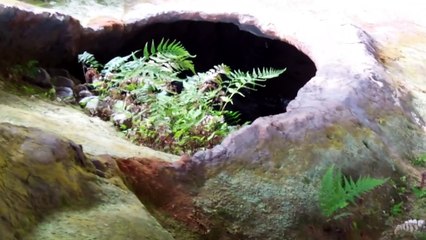 800 Year Old Pottery Kilns in Japan