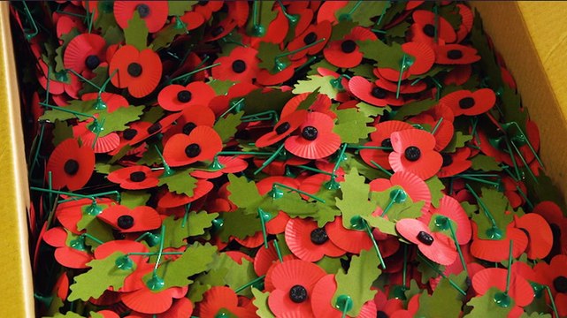 Inside the factory where army veterans make 7 million poppies every year for Remembrance Day