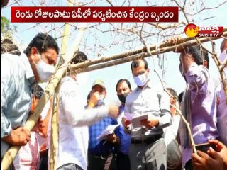 సీఎం వైఎస్ జగన్‌ను కలిసిన కేంద్ర బృందం