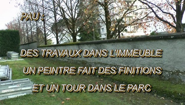 LES W-D.D. MICHOU64 NEWS - 6 NOVEMBRE 2020 - PAU - DES TRAVAUX DANS L'IMMEUBLE UN PEINTRE FAIT DES FINITIONS ET UN TOUR DANS LE PARC