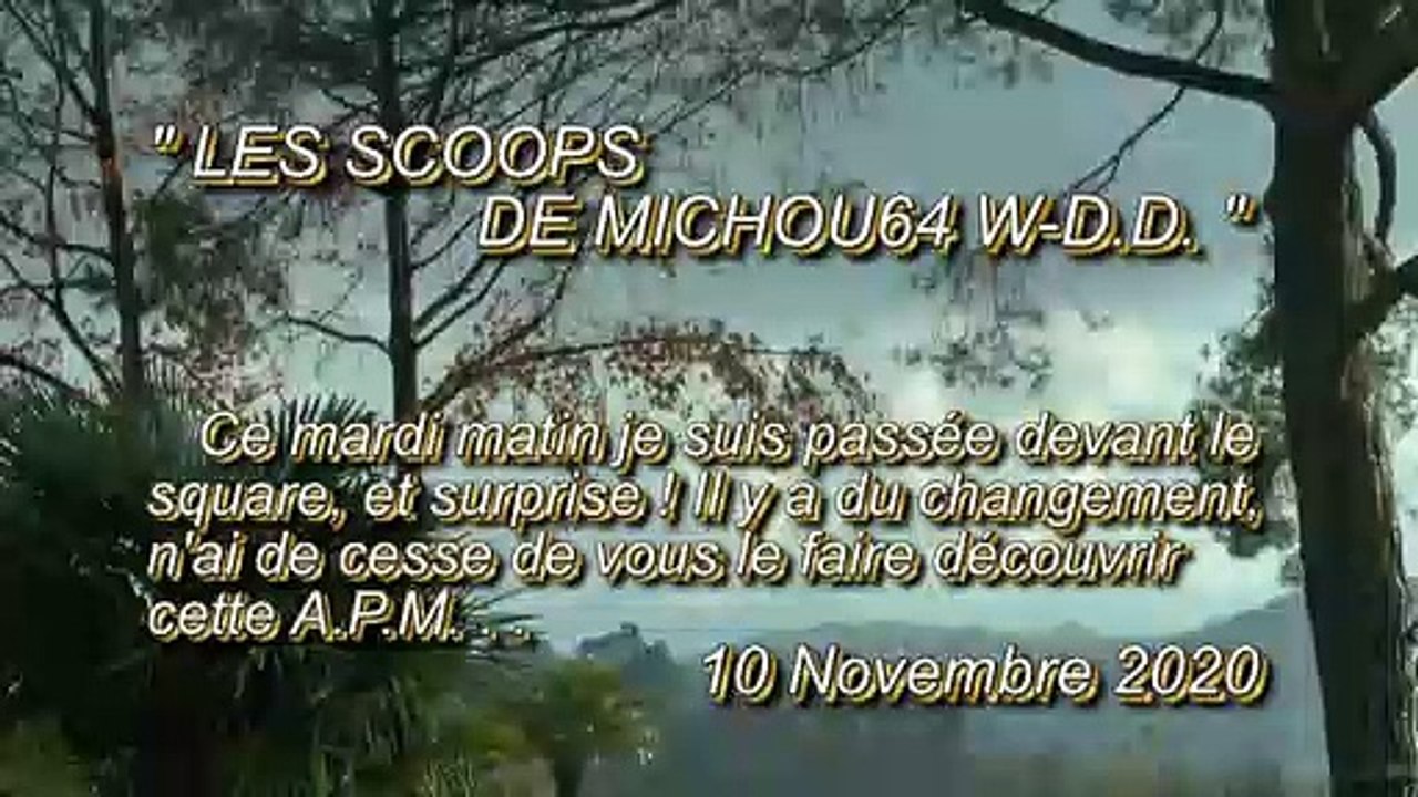 LES SCOOPS DE MICHOU64 W-D.D. - 10 NOVEMBRE 2020 - PAU - RÉNOVATION DES ALLÉES DU SQUARE BESSON