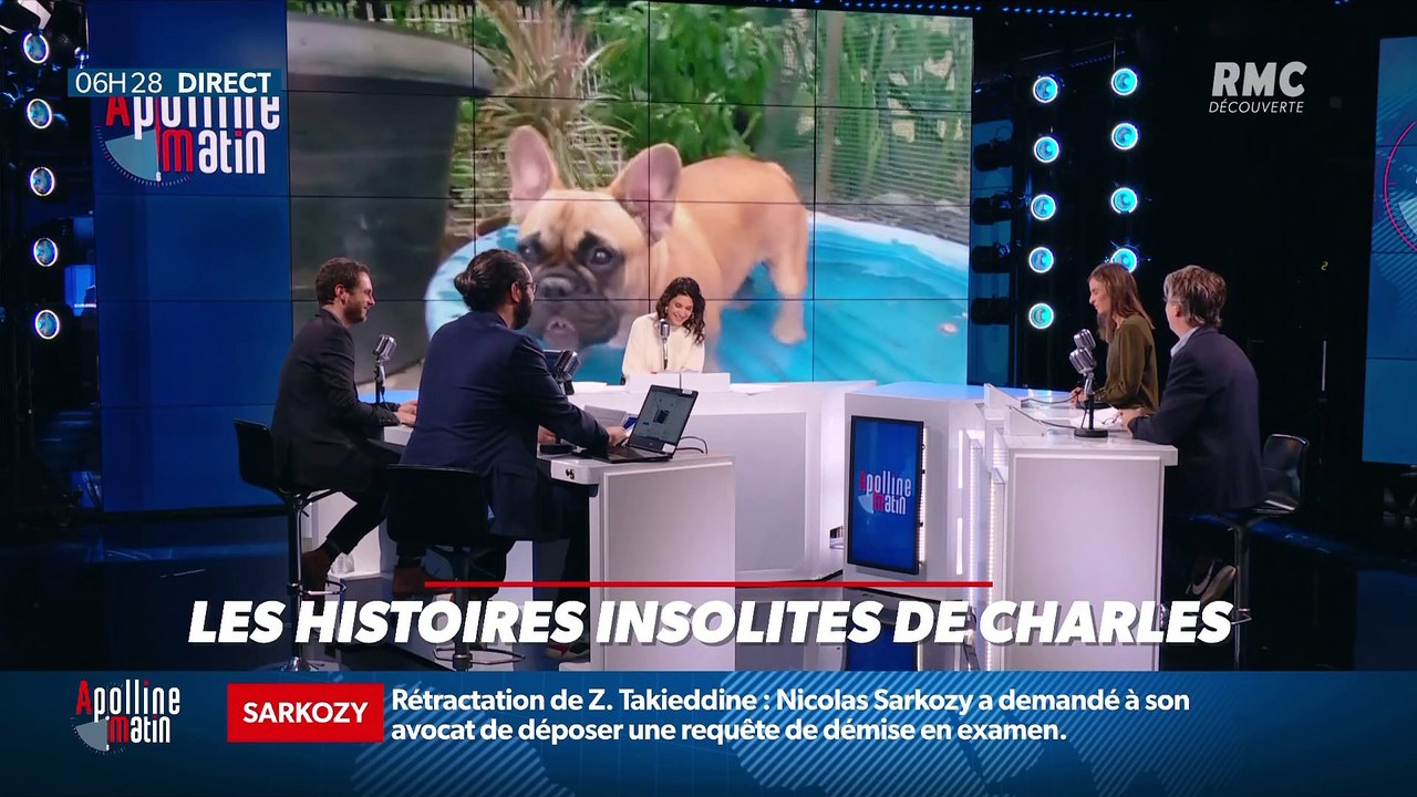 «Les 3 histoire de Charles Magnien » : De plus en plus de chats dans nos foyers, une Anglaise vit un enfer à cause de son prénom et une main robotique pour lutter contre la solitude - 12/11
