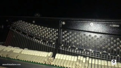 Pirates of the Carribean - Virtuosic Piano Solo - Aneesh Mathew (Arr. Jarrod Radnich)