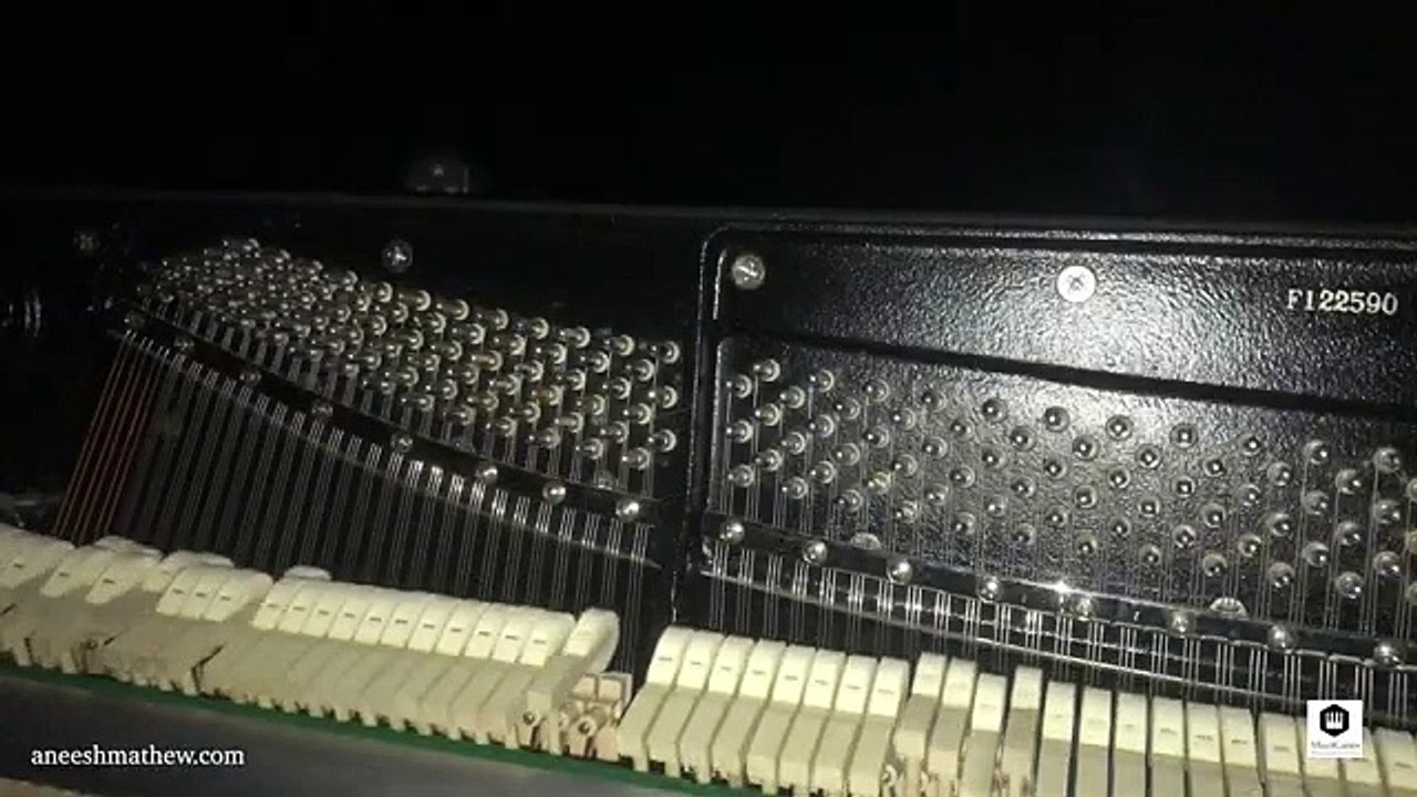 Pirates of the Carribean - Virtuosic Piano Solo - Aneesh Mathew (Arr. Jarrod Radnich)