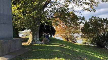 20201110- Sông Shakuji đổ ra sông Sumida