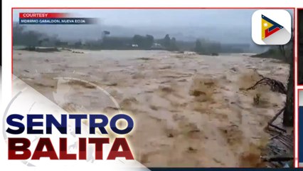 Naglalakihang puno sa ilang barangay sa Bongabon, Nueva Ecija, nabuwal