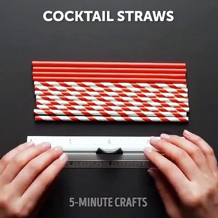 Do it YourSelf Videos 213