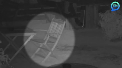 Paranormal Activity Caught On Camera