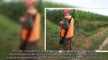 Tarn-et-Garonne _ des dérogations pourles chasseurs de gros gibier