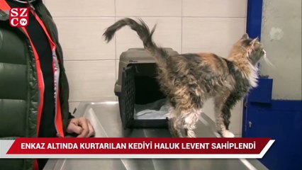 Download Video: Enkaz altından kurtarılan kediyi Haluk Levent sahiplendi