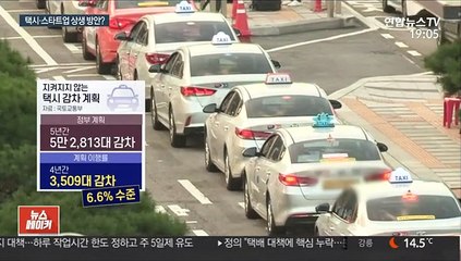 정부 모빌리티 상생안에…택시·스타트업계 모두 불만