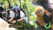 Langur Project Penang seeks to protect primate in peril | Golden Hearts Award 2020