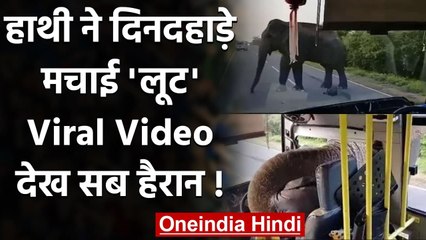 Viral Video: Elephant ने दिनदहाड़े मचाई लूट! , गाड़ी से ऐसे चुराया खाने का सामान | वनइंडिया हिंदी