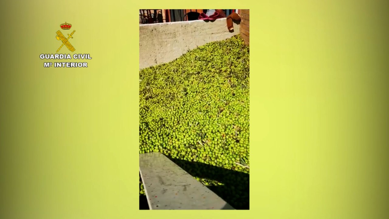 Detenidas dos personas por una trama de venta de aceitunas robadas