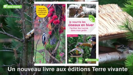 Je nourris les oiseaux en hiver