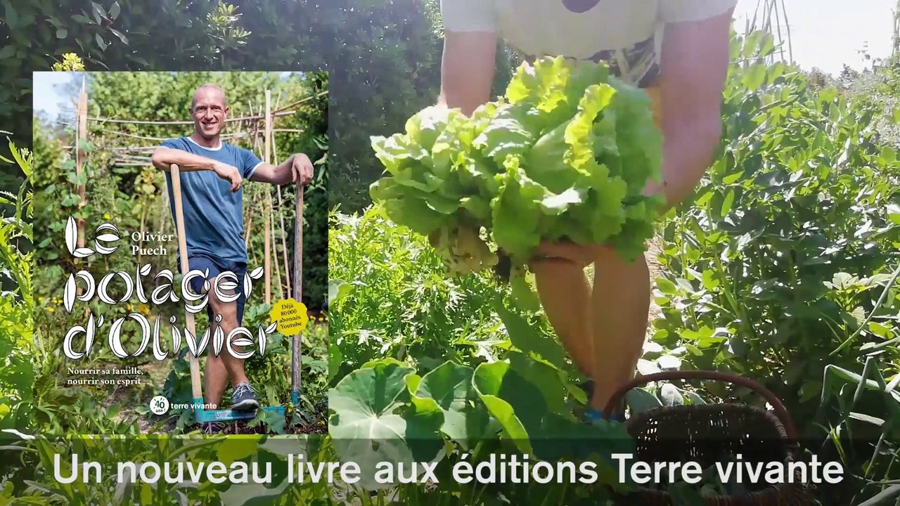 Le potager d'Olivier