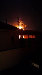 Lightning Sets Palm Tree on Fire