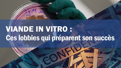 Viande in vitro : ces lobbies qui préparent son succès