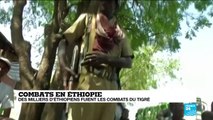 Combats en Éthiopie : l'armée éthiopienne a 