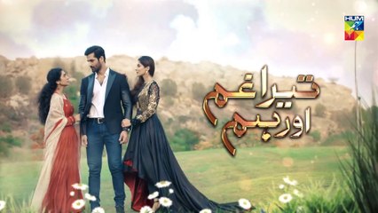 Tera Ghum Aur Hum Last Episode HUM TV Drama 12 November 2020