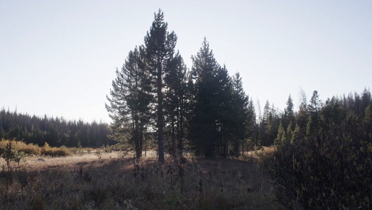 SI Swimsuit 2020: Danielle Herrington Moving Portrait