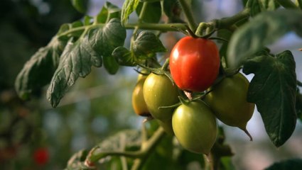 Explore with Swim: Wyoming