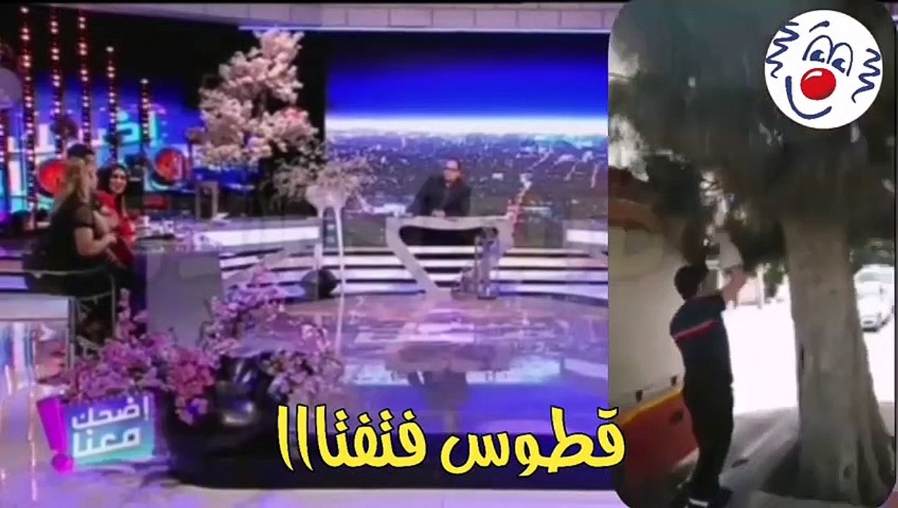 قصة_القطوس_فتفتاااا_كاملة__اضحك_معنا؟