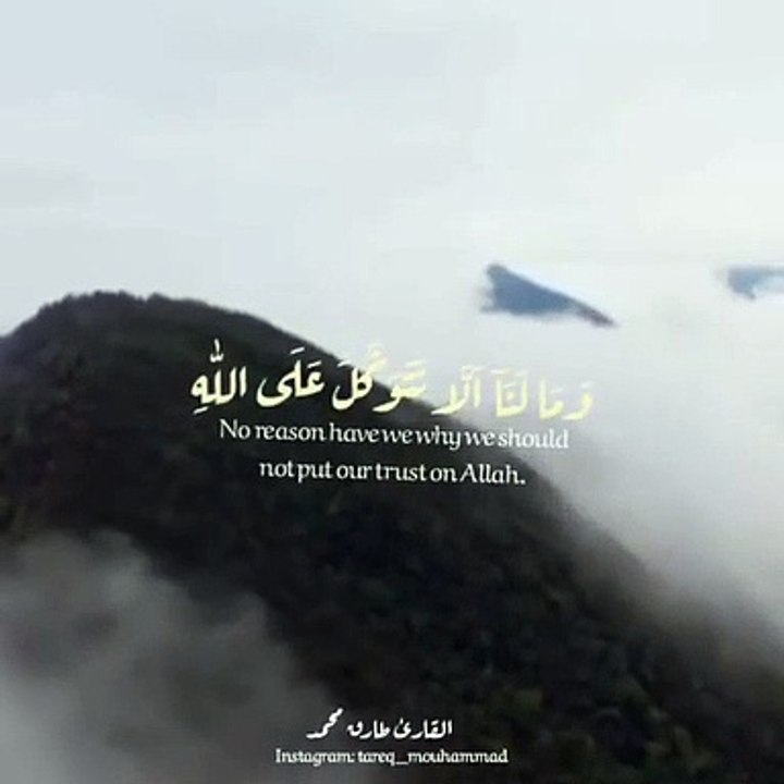 القارئ طارق محمد _قرآن كريم_ مقاطع قصيرة_ تلاوة عطرة خاشعة_ حالات واتساب دينية(480P)_2